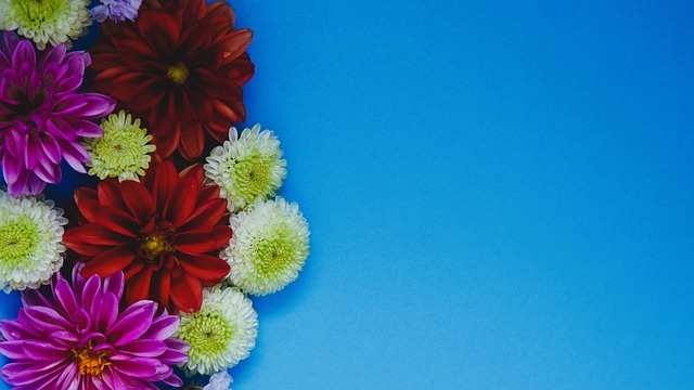 [排球]做多手准备 上海女排全力争胜.