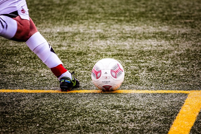 寫乒乓球的 寫乒乓球的