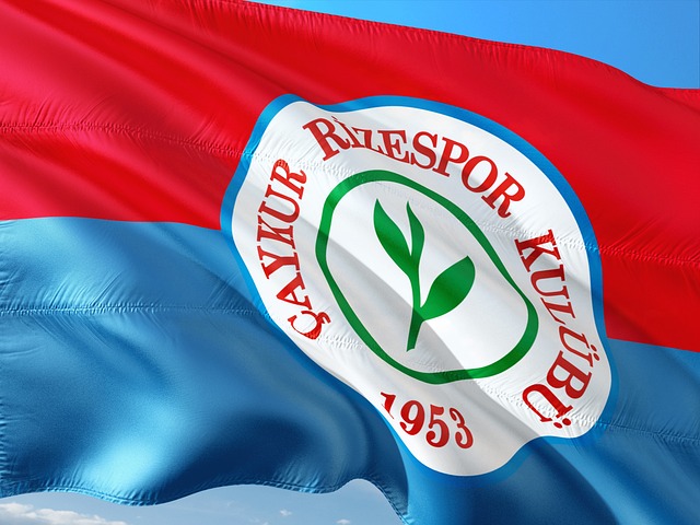 杯赛冠军保 杯赛冠军保