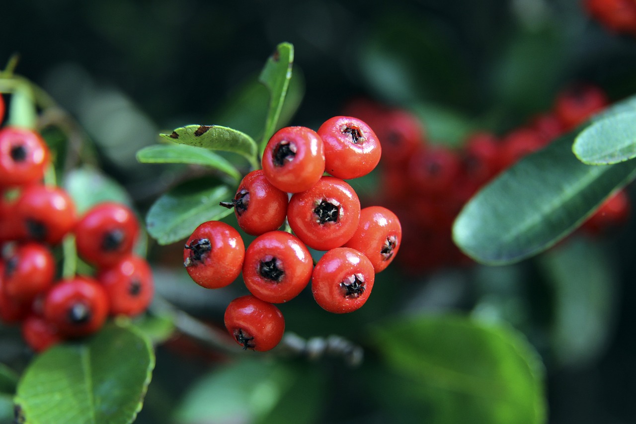 交流和沟通 交流和沟通